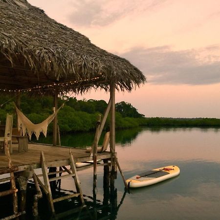 ボカス・タウン Lima Limon Eco-Houseヴィラ エクステリア 写真