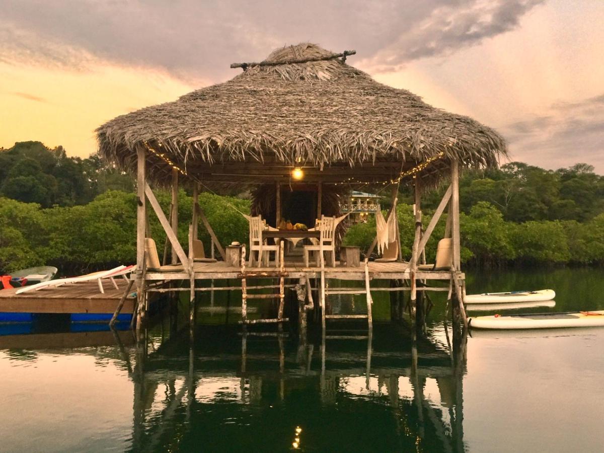 ボカス・タウン Lima Limon Eco-Houseヴィラ エクステリア 写真