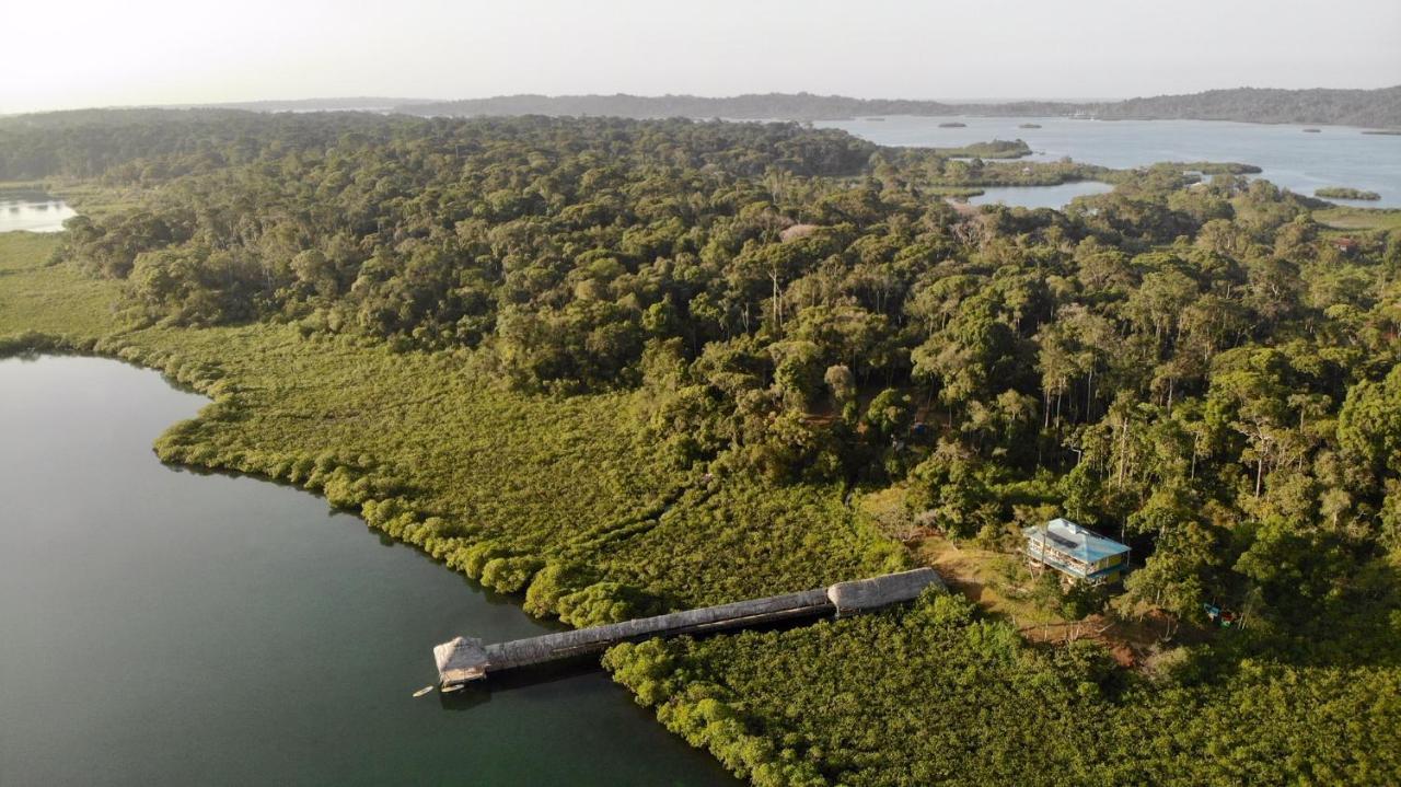 ボカス・タウン Lima Limon Eco-Houseヴィラ エクステリア 写真