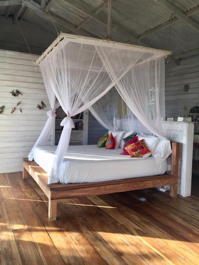 ボカス・タウン Lima Limon Eco-Houseヴィラ エクステリア 写真