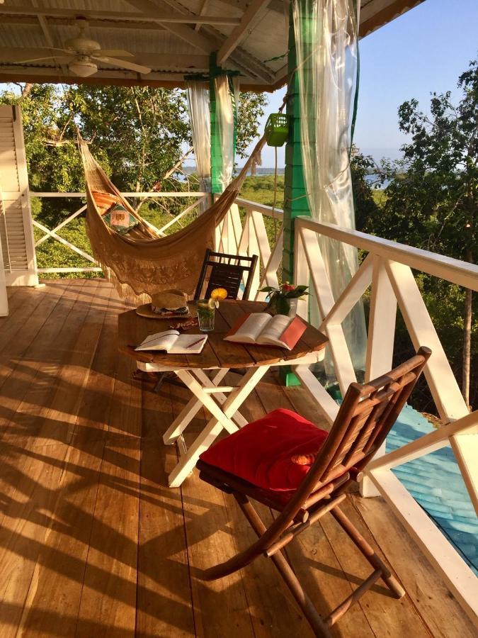 ボカス・タウン Lima Limon Eco-Houseヴィラ エクステリア 写真