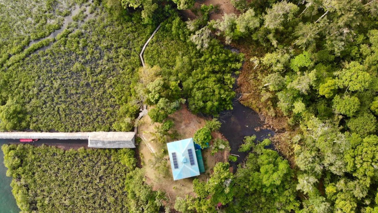 ボカス・タウン Lima Limon Eco-Houseヴィラ エクステリア 写真