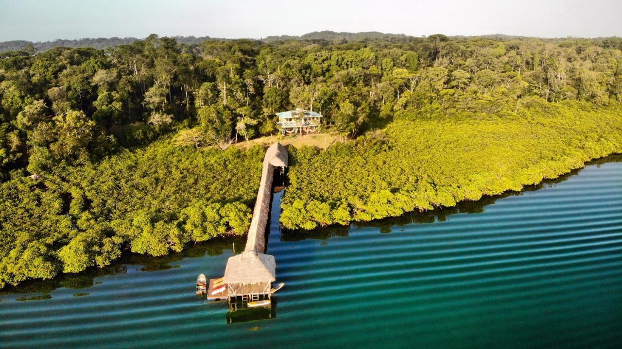 ボカス・タウン Lima Limon Eco-Houseヴィラ エクステリア 写真